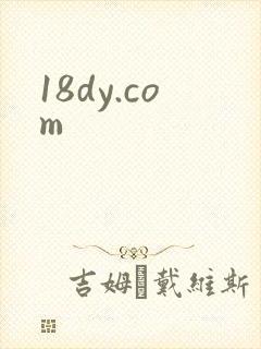 18dy.com