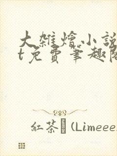 大杂烩小说txt免费笔趣阁