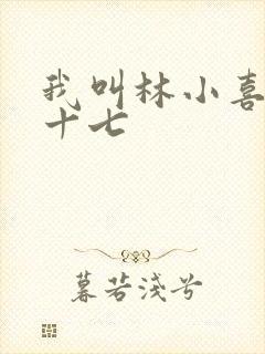 我叫林小喜今年十七