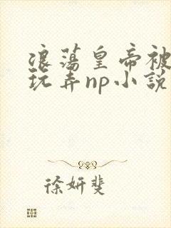 浪荡皇帝被多人玩弄np小说