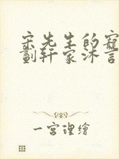 宋先生的宠妻计划轩家沐言