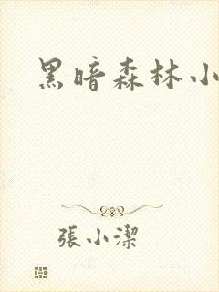 黑暗森林小说