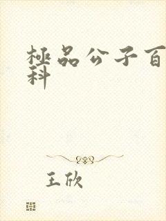 极品公子百度百科