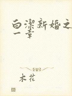 白洁新婚之夜第一章