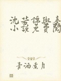 沈若锦与秦琅的小说免费阅读