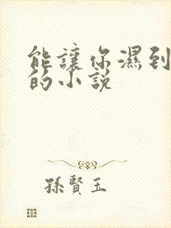 能让你湿到不行的小说