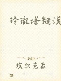 玲珑塔糙汉租客