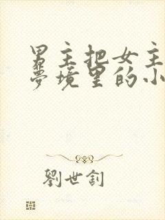 男主把女主拖进梦境里的小说