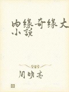 内缘奇缘大团圆小说