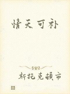 情天可补