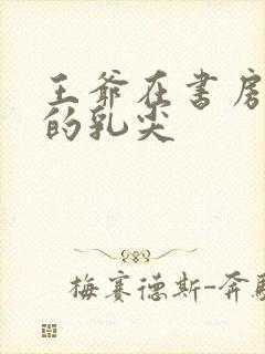 王爷在书房含她的乳尖