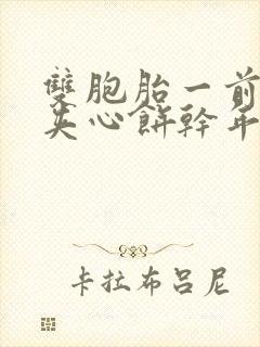 双胞胎一前一后夹心饼干年下