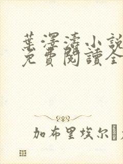 叶泽涛小说全文免费阅读全文