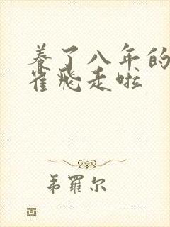 养了八年的金丝雀飞走啦