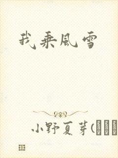 我乘风雪
