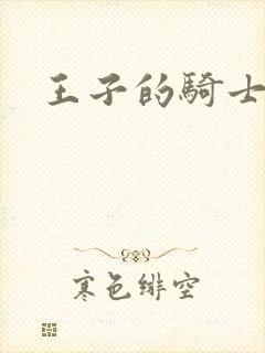 王子的骑士小说