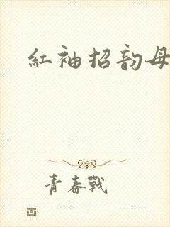 红袖招韵母攻略