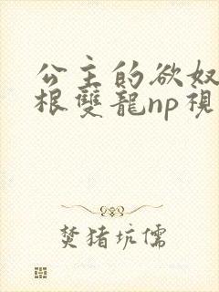 公主的欲奴h四根双龙np视频