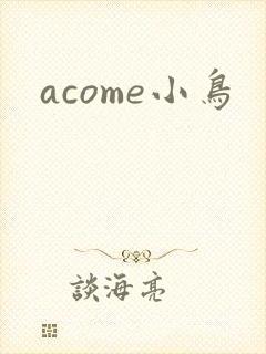 acome小鸟