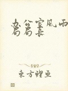 办公室风雨教育局局长