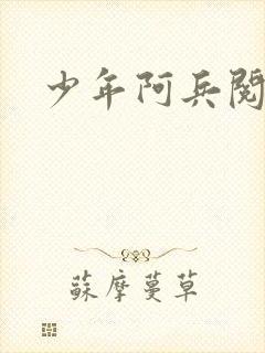 少年阿兵阅读