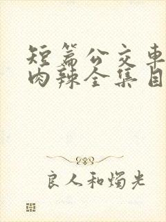 短篇公交车高h肉辣全集目录