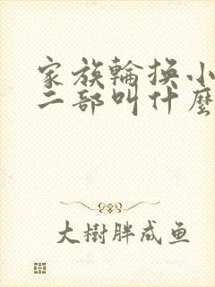 家族轮换小说第二部叫什么名字