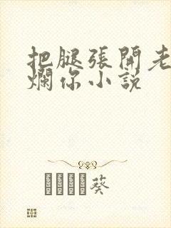 把腿张开老子臊烂你小说