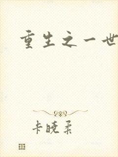 重生之一世枭雄