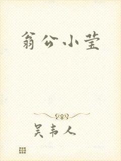 翁公小莹