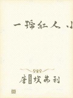 一号红人 小说