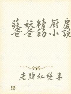 苏妖精厨房爹爹爸爸的小说