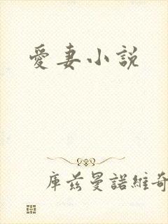 爱妻小说