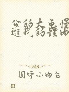 公的大龟慢慢挺进我的体内