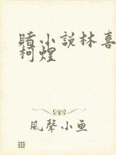 赌小说林喜朝和柯煜