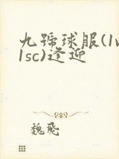 九号球服(1v1sc)逢迎