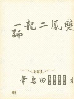 一龙二凤双飞老师