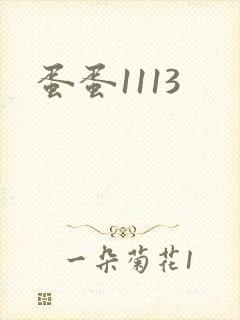 蛋蛋1113