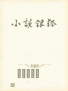 小说银狐