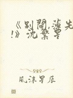 《别闹,薄先生!》沈繁星