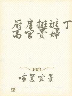 厨房挺进丁字裤高官贵妇