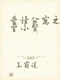 爱情公寓之极品曾小贤