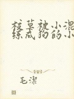 校草被小混混训练成狗的小说