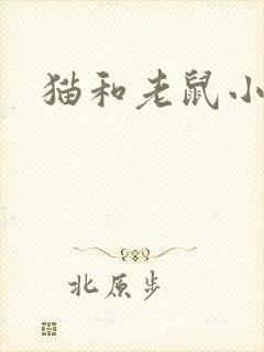猫和老鼠小说