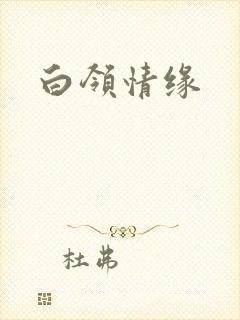 白领情缘