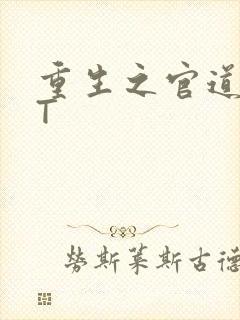 重生之官道TXT