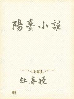 阳台小说