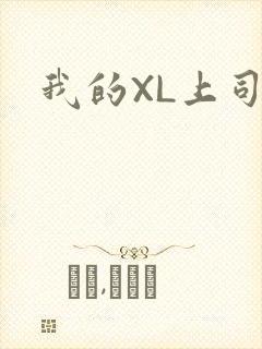 我的XL上司