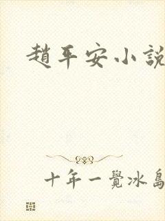 赵平安小说主角