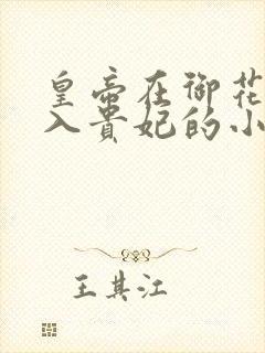 皇帝在御花园进入贵妃的小说